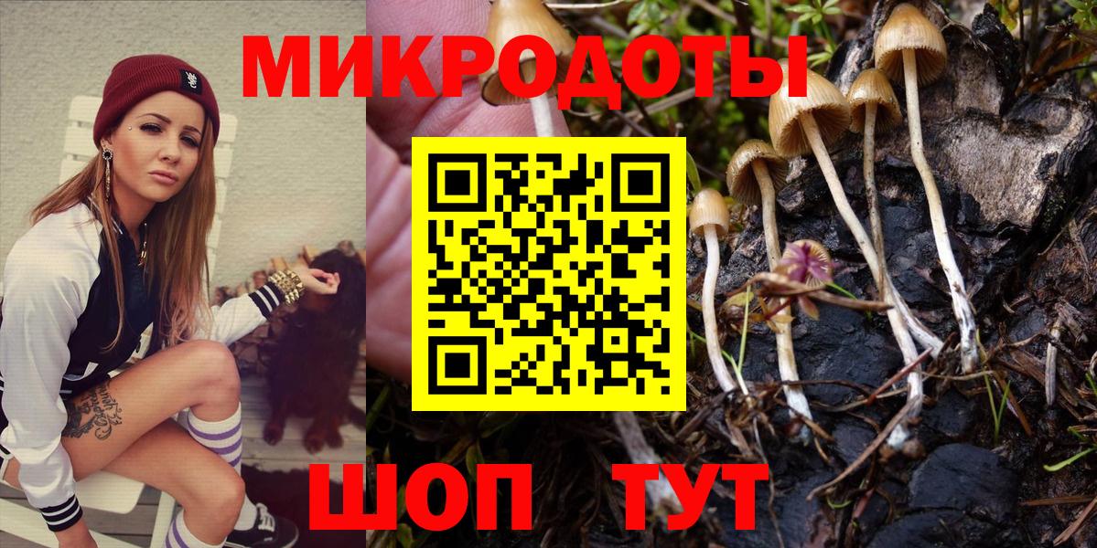 Магнитогорск  Псилоцибиновые грибы Psilocybine cubensis  Вход с VPN 
